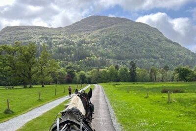 Horse-Drawn Carriage Tours in Killarney