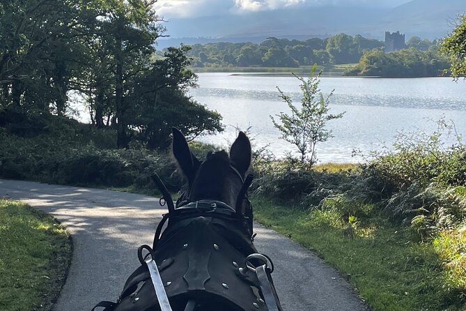 Horse-Drawn Carriage Tours in Killarney - Inisfallen monastery ruins: a quick 7th century pause