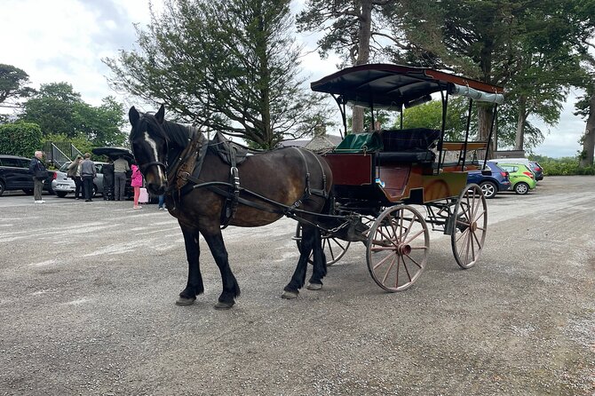 Horse-Drawn Carriage Tours in Killarney - Ross Castle photo stop: a satisfying finish without a long walk