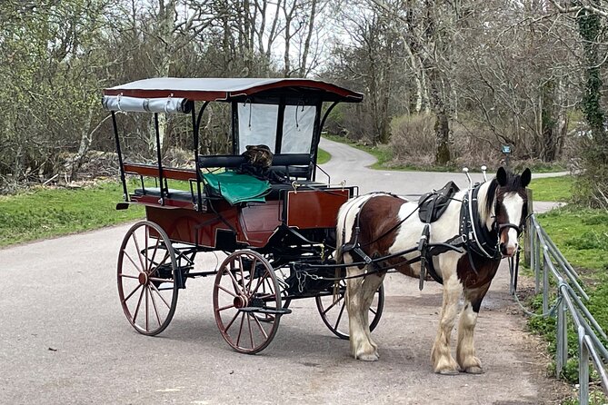 Horse-Drawn Carriage Tours in Killarney - Your guide on the box, and why the narration matters
