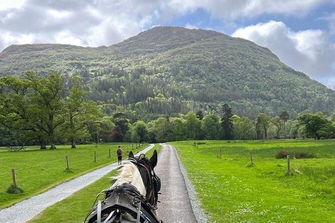 Horse-Drawn Carriage Tours in Killarney - Starting at Beech Road, and how pickup really works