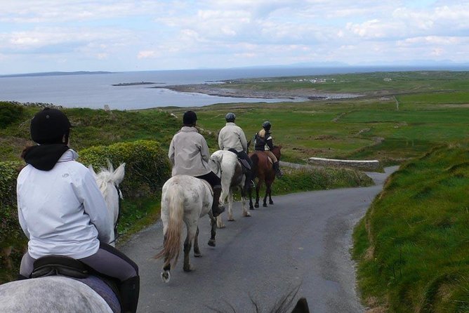 Horse riding - Burren Trail. Lisdoonvarna, Co Clare. Guided. 3 hours. - Horses, safety gear, and the animal welfare rules that matter