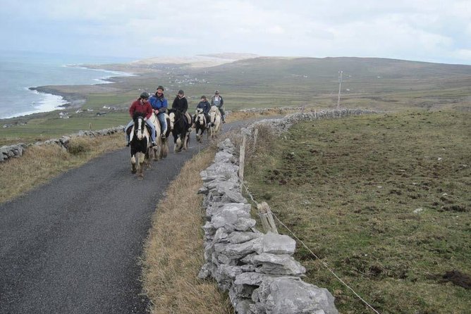 Horse riding - Burren Trail. Lisdoonvarna, Co Clare. Guided. 3 hours. - The $243.23 price: where the value really comes from