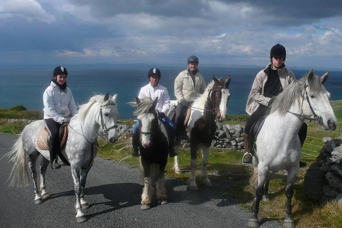 Horse riding - Burren Trail. Lisdoonvarna, Co Clare. Guided. 3 hours. - Best fit: who will love this ride most