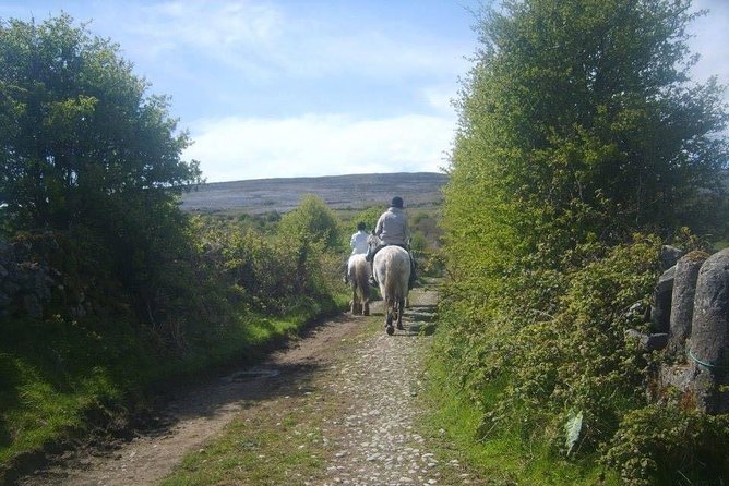 Horse riding - Burren Trail. Lisdoonvarna, Co Clare. Guided. 3 hours. - The 3 or 4 hour ride: how the pace works in the real world