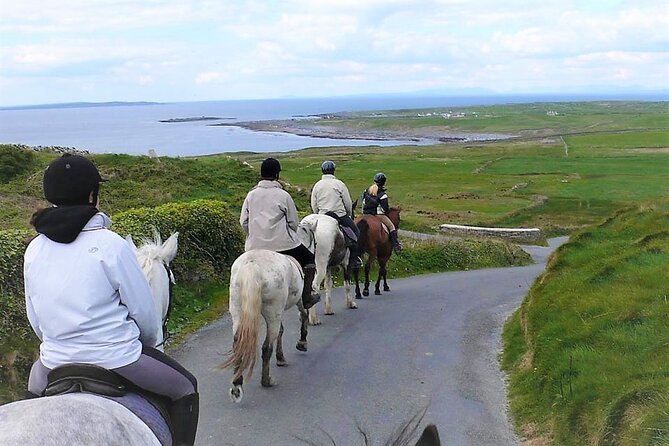 Horse riding - Dirt Trek Trail. Lisdoonvarna, Clare. Guided. 1 hour. - What the 1-hour Dirt Trek Ride Actually Feels Like