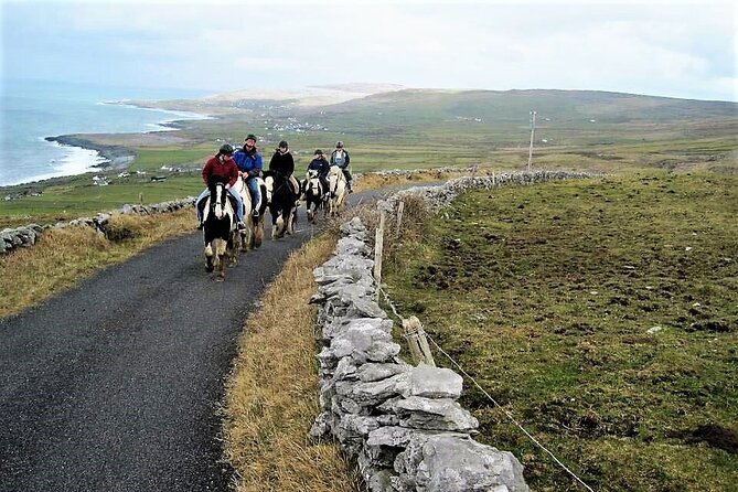 Horse riding - Dirt Trek Trail. Lisdoonvarna, Clare. Guided. 1 hour. - Guides Matter Here, With Peter Doing the Hosting