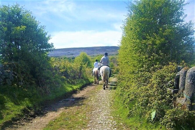 Horse riding - Dirt Trek Trail. Lisdoonvarna, Clare. Guided. 1 hour. - Route and Views: Cliffs of Moher, Aran Islands, and Connemara