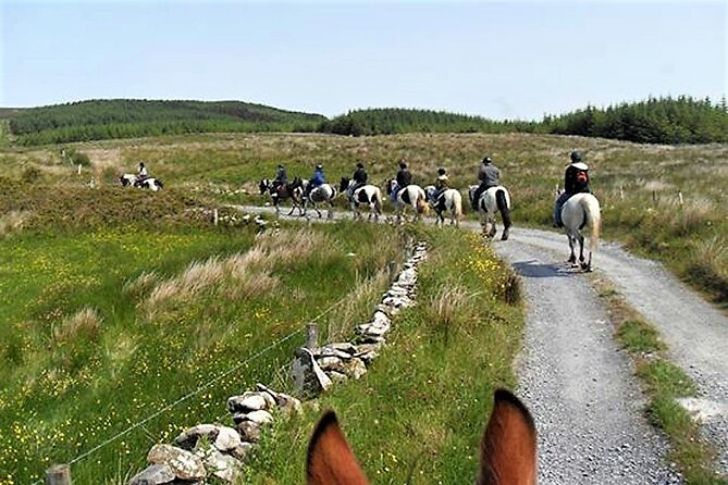Horse riding - Dirt Trek Trail. Lisdoonvarna, Clare. Guided. 1 hour. - Group Size, Timing, and How to Plan Your Afternoon