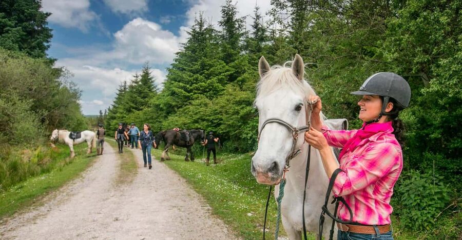 Horse riding the dirt trail. Clare. Guided. 1 hour - Key Things That Make This 1-Hour Ride Worth It