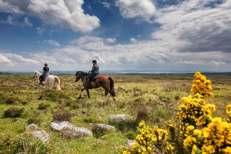 Horse riding the mountain trail. Clare. Guided, 2 hours - Burren to Atlantic heights, all in one guided ride