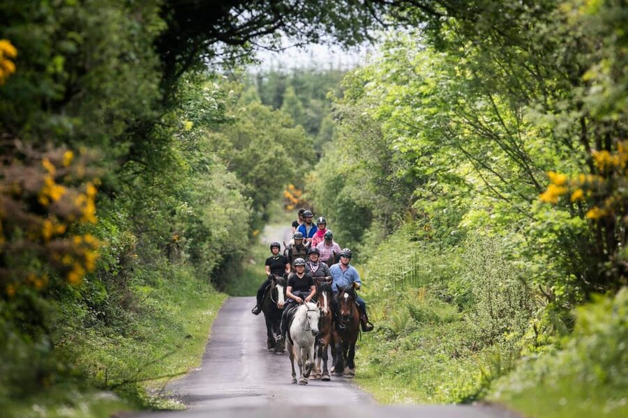 Horse riding the mountain trail. Clare. Guided, 2 hours - The route through Burren limestone, woodlands, and green roads