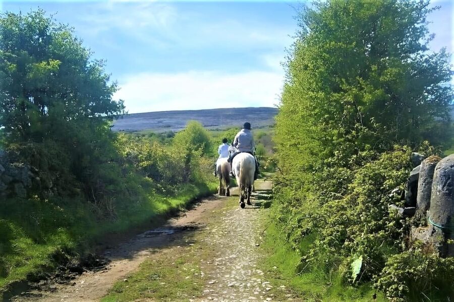 Horse riding the mountain trail. Clare. Guided, 2 hours - Slieve Elva hills and the 1,200-foot Atlantic viewpoint