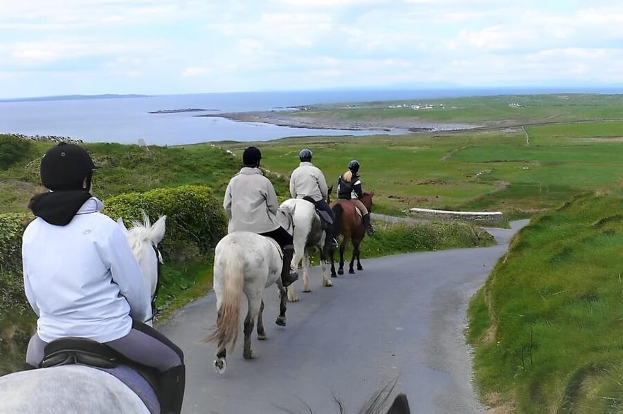 Horse riding the mountain trail. Clare. Guided, 2 hours - Horses and helmets: comfort, control, and that confidence boost