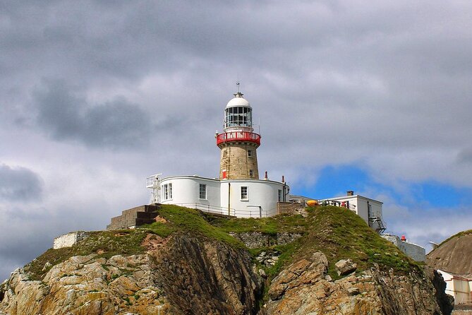 Howth Cliffs and Ireland's Eye Ferry Boat Tour - Wildlife Spotting Reality Check, From Seals to Porpoise