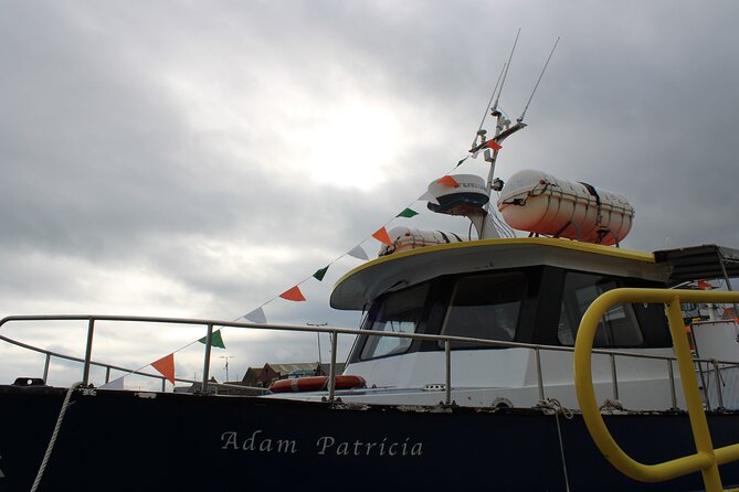 Howth Cliffs and Ireland's Eye Ferry Boat Tour - Who Should Book This Ferry, and Who Might Want a Different Option