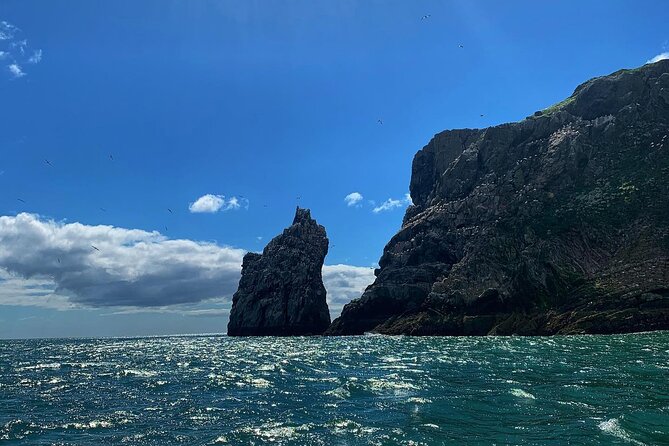 Howth Cliffs and Ireland's Eye Ferry Boat Tour - FAQ