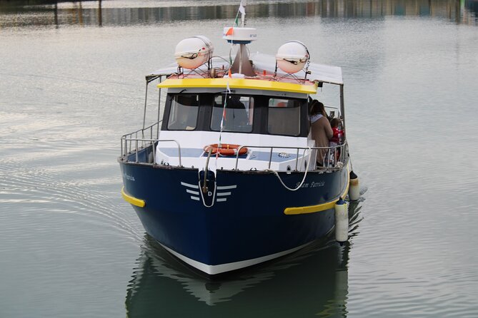 Howth Cliffs and Ireland's Eye Ferry Boat Tour - Ireland’s Eye: Martello Tower, Seals, Birds, and the Kirwan Murder Story