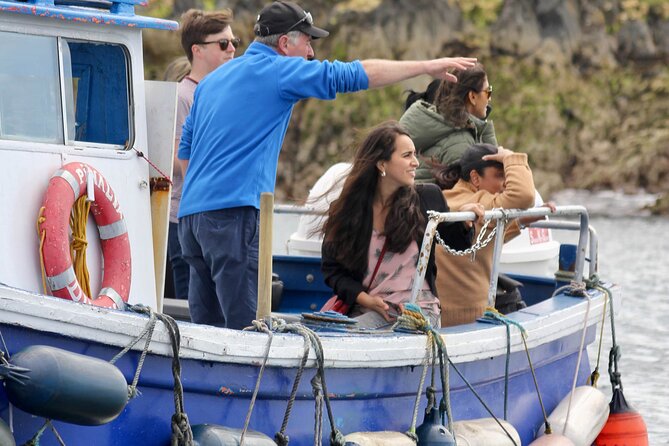 Howth Coastal Boat Tour (Ireland's Eye Ferries 50 mins trip) - How This Howth Boat Tour Stays Personal (Not Like Big-Boat Sightseeing)
