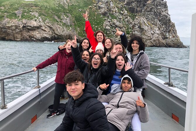 Howth Coastal Boat Tour (Ireland's Eye Ferries 50 mins trip) - Wildlife and Photo Time: Seals, Seabirds, and What Seasons Change