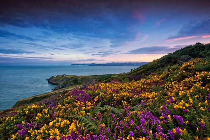 Howth Coastal Half-Day Bus Tour from Dublin with Live Guide - Howth, in one half-day, without the stress