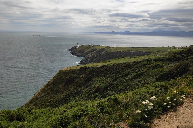 Howth Hiking Trail from Dublin: Mythology and Legend - Forest, fairy houses, and your picnic break in the green