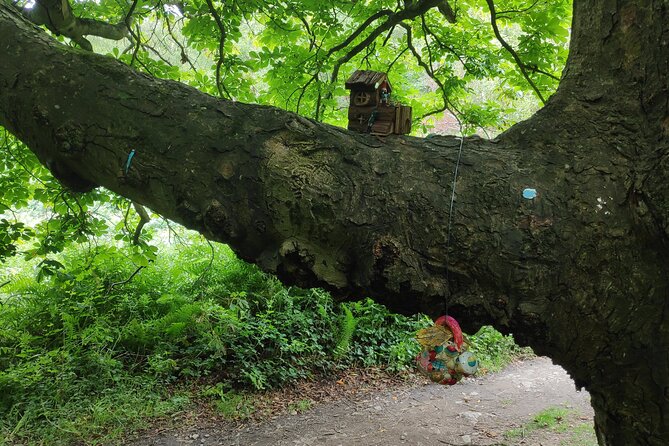 Howth Hiking Trail from Dublin: Mythology and Legend - The 9:30 meeting and how the 5 to 6 hours really work
