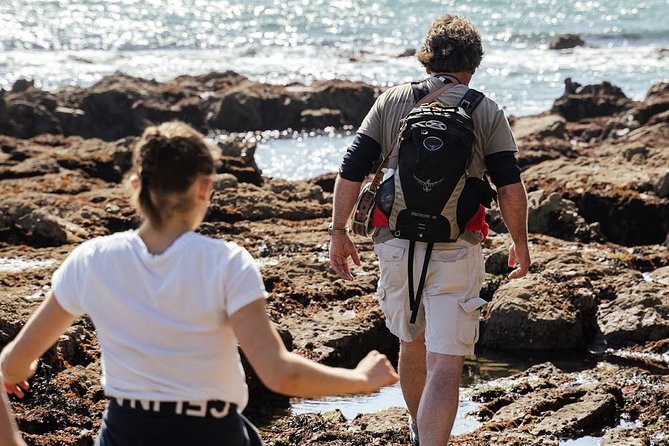 Howth Safari Hiking Tour - Doldrum Beach and Red Rock, where you catch your breath