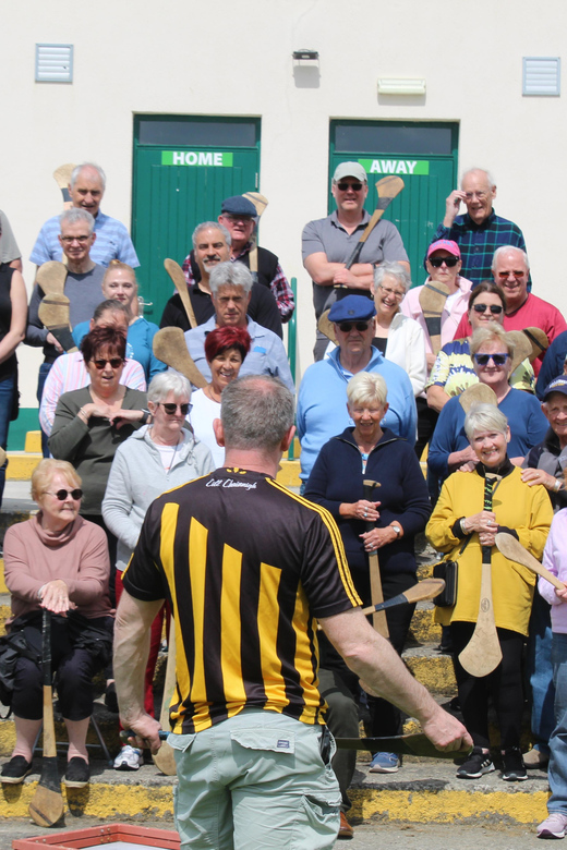 Hurling Experience in Kilkenny City - Why Kilkenny City Is the Right Stage for Hurling