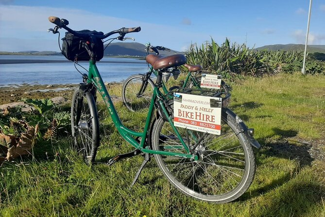 Hybrid Bike Cycle Greenway Westport to Achill - Key highlights you will feel right away