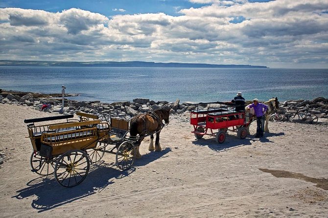 Inis Mór (Aran Islands) Day Trip: Return Ferry from Rossaveel, Galway - Price and value of a $48.06 return ferry from Rossaveel