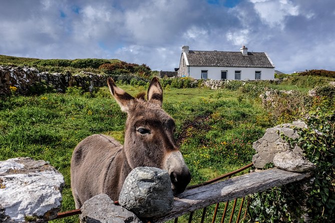 Inis Mór (Aran Islands) Day Trip: Return Ferry from Rossaveel, Galway - Arriving at Kilronan Pier and planning your island hours