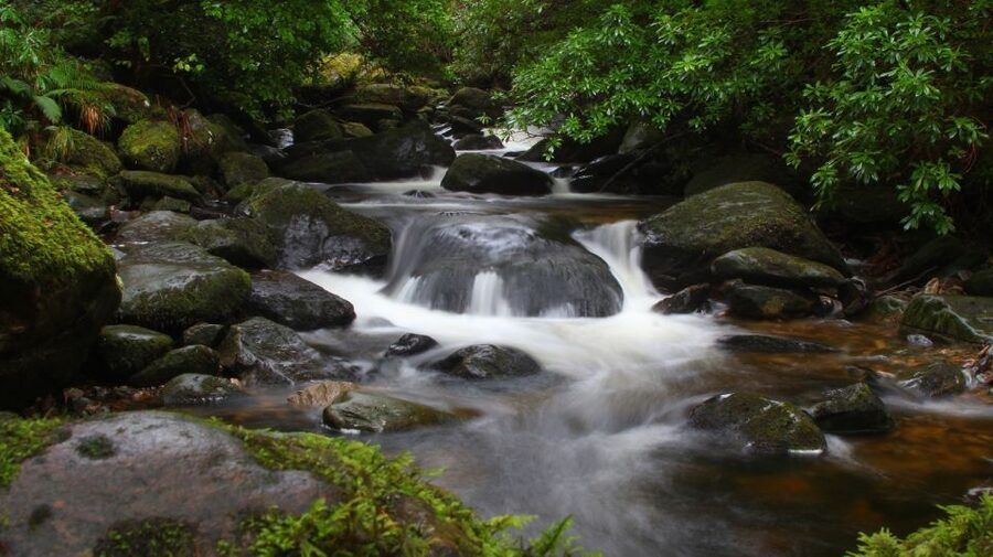 Ireland: 2 Day Wild Atlantic Way Tour - Overnight on the Dingle Peninsula: Annascaul as a Base