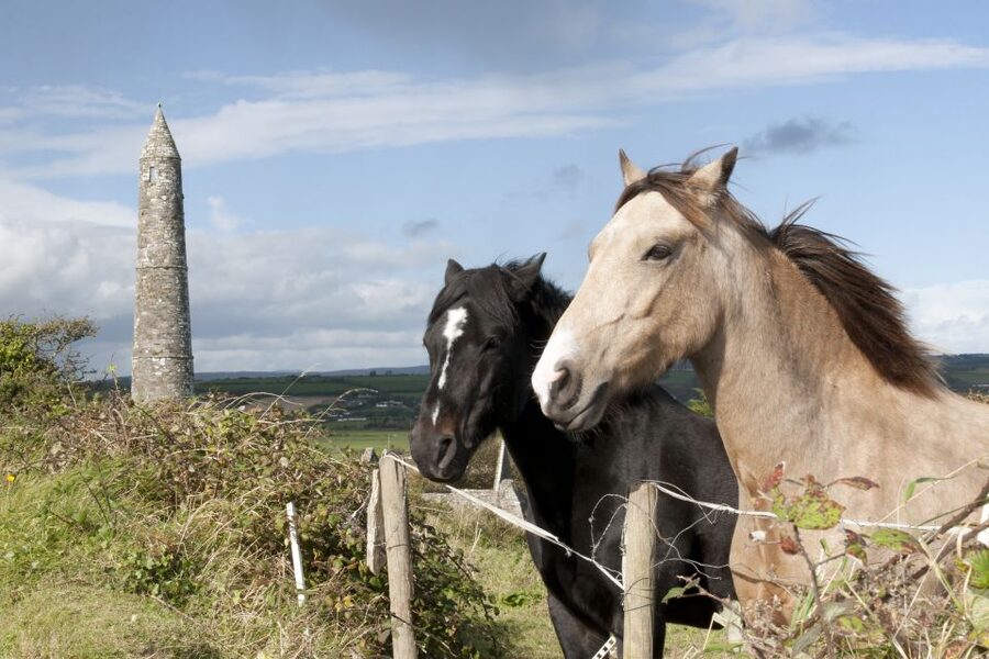 Ireland: Blarney Castle, Kilkenny & Irish Whiskey 3-Day Tour - Should you book this Ireland 3-day tour?
