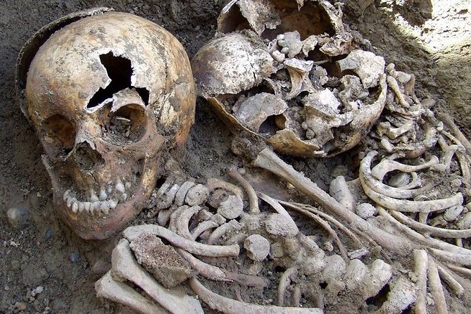 Irish Famine Museum / Exhibition Dublin - The 15-minute documentary film: a quick reset for your brain
