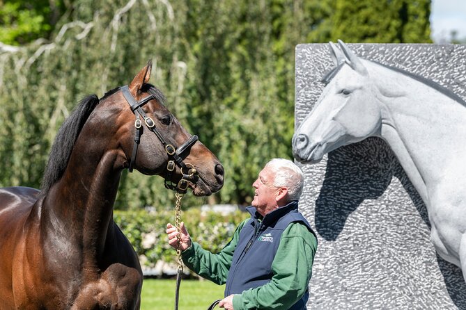 Irish National Stud & Gardens Skip the line Entrance - Japanese Gardens and St Fiachra’s Garden in One Ticket