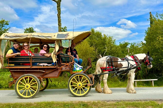 Jaunting Car Tour in Killarney National Park - Family-Run Hosting and Guide Style: What You Can Expect