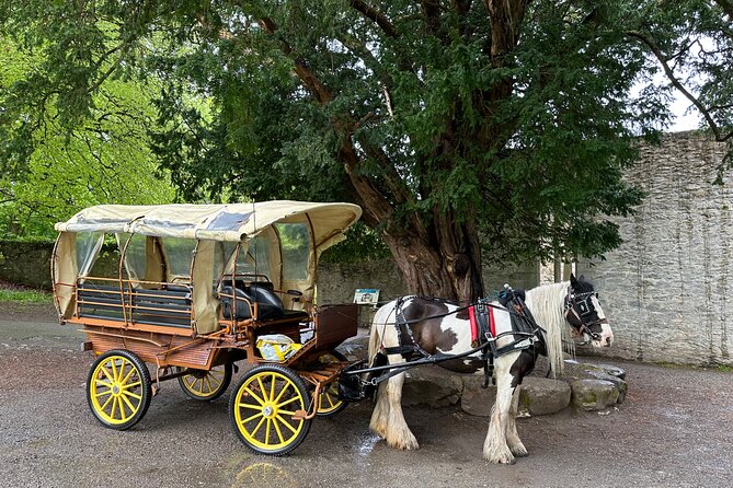 Jaunting Car Tour in Killarney National Park - Price and Value: Is About $66.54 for One Hour Fair?