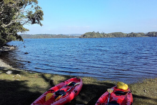 Kayak to Innisfallen island. Killarney. Guided. 2½ hours. - Should You Book This Kayak Trip to Innisfallen Island?