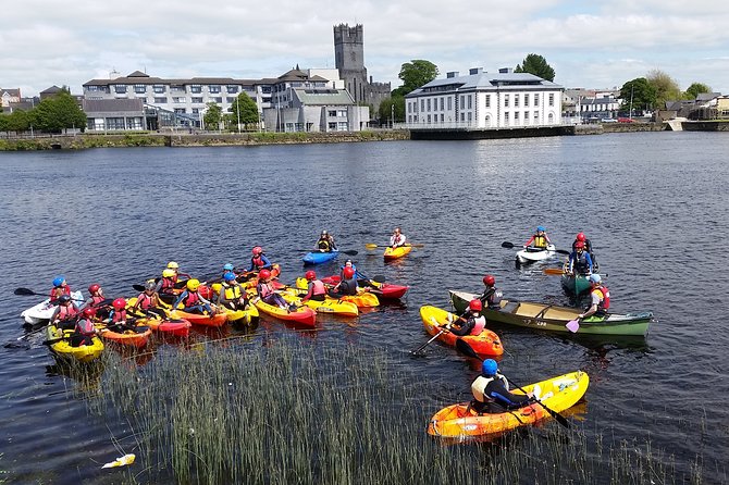 Kayaking & Canoeing in Limerick City - Wildlife spotting on the River Shannon, with a guide watching the details