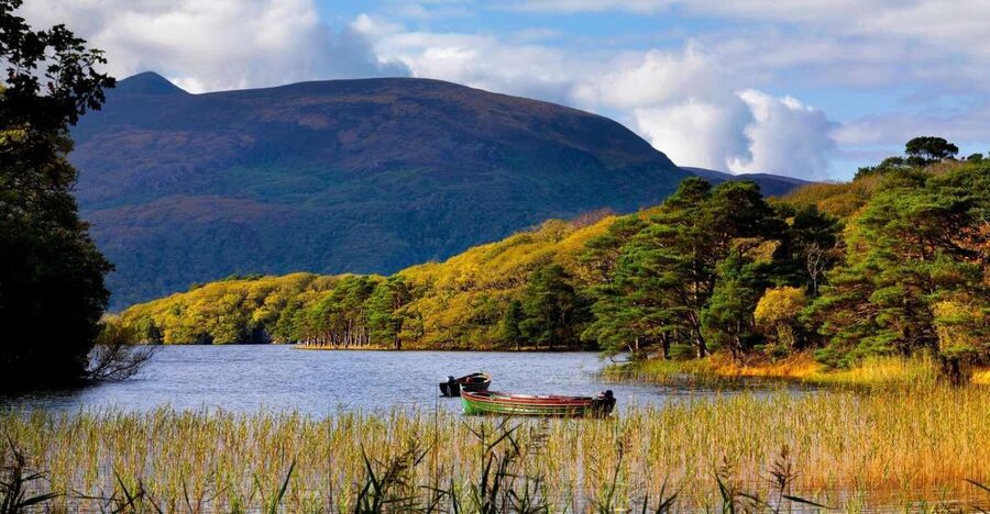 Kerry: Full-Day Tour from Dublin - Getting there and the 14-hour bus reality check