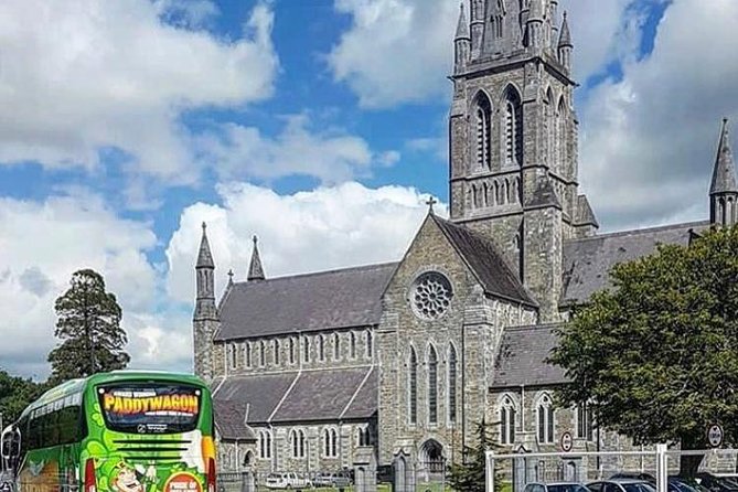 Kerry Highlights Day Tour from Dublin - Killarney National Park: viewpoints, lakes, and the best walking time you get