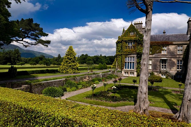 Kerry Highlights Day Tour from Dublin - Killarney town for lunch, shops, and a reset before the coast