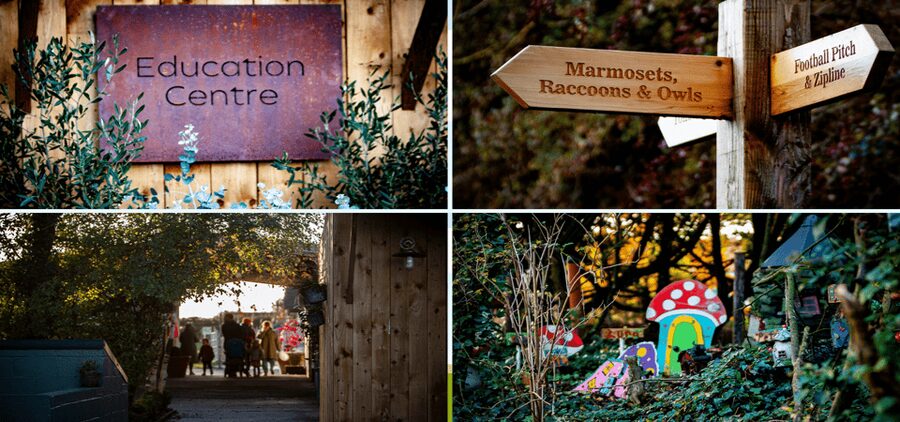 Kildare: Clonfert Farm General Admission Ticket - Farmyard Favourites: Donkeys, Sheep, and Goats