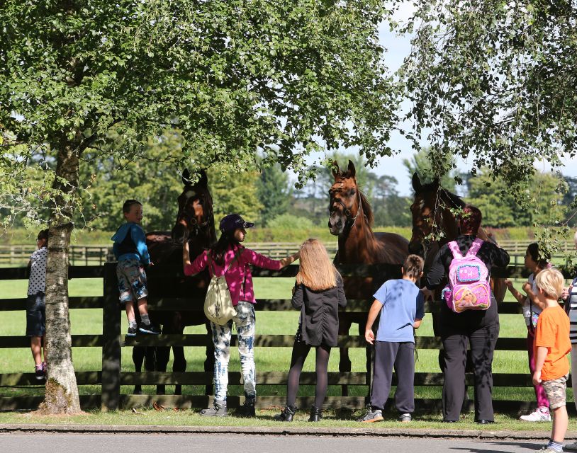 Kildare: Irish National Stud & Gardens - Gardens break up the horse focus, and they are genuinely different
