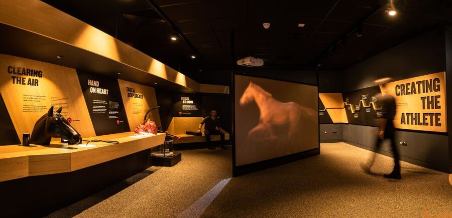 Kildare: Irish National Stud & Gardens - The award-winning Irish Racehorse Experience, from owning a horse to a simulated race day