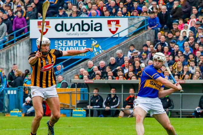 Kilkenny city tour in German. - Who should book this German Kilkenny tour, and who might pass