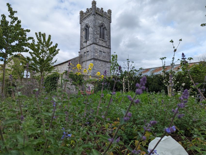 Kilkenny: Historical Highlights Walking Tour - St. John’s Priory, Butler Gallery, and the Stops That Add Texture