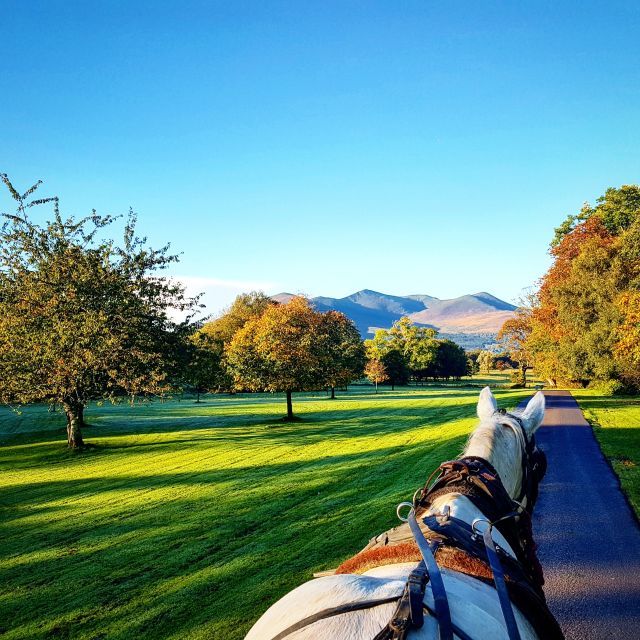 Killarney: 1-Hour Jaunting Car Horse and Carriage Tour - Getting Started at Great Southern Hotel, East Avenue Road