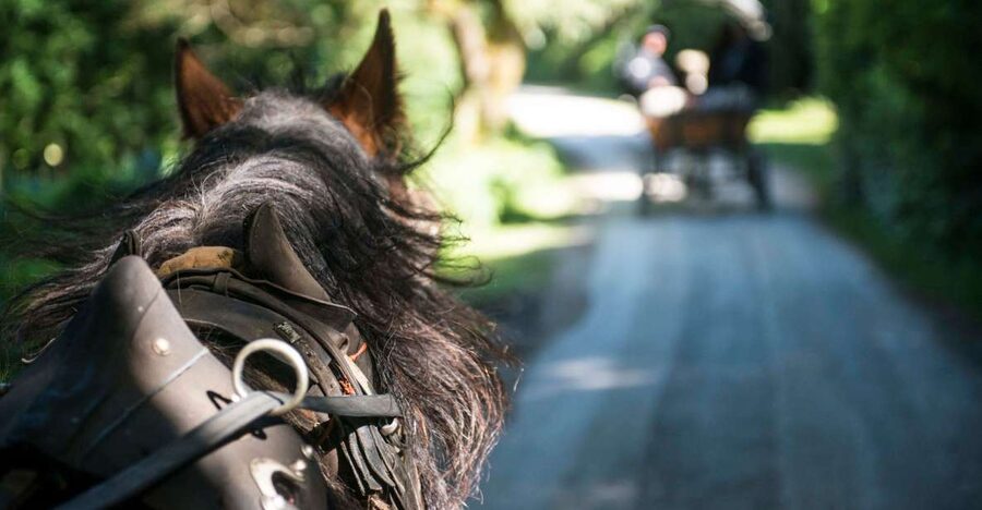 Killarney: 1-Hour Jaunting Car Horse and Carriage Tour - The Stories Your Jarvey Tells, From O’Donoghue Legends to Cromwellian Tragedy